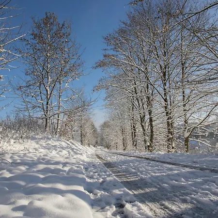 Lejlighed Welcome In - 10-r Direkt An Der Skipiste Und Am Golfplatz Winterberg